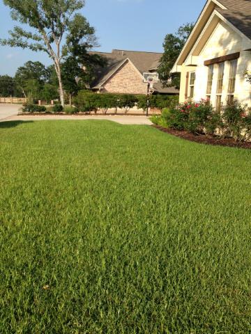 Your Best Lawn Guaranteed!™